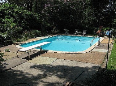 3100 Starview Circle -
              Backyard Pool