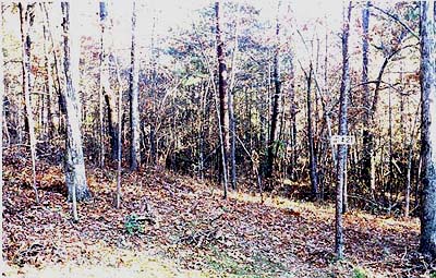 Lot 21, Bear Creek Ridge