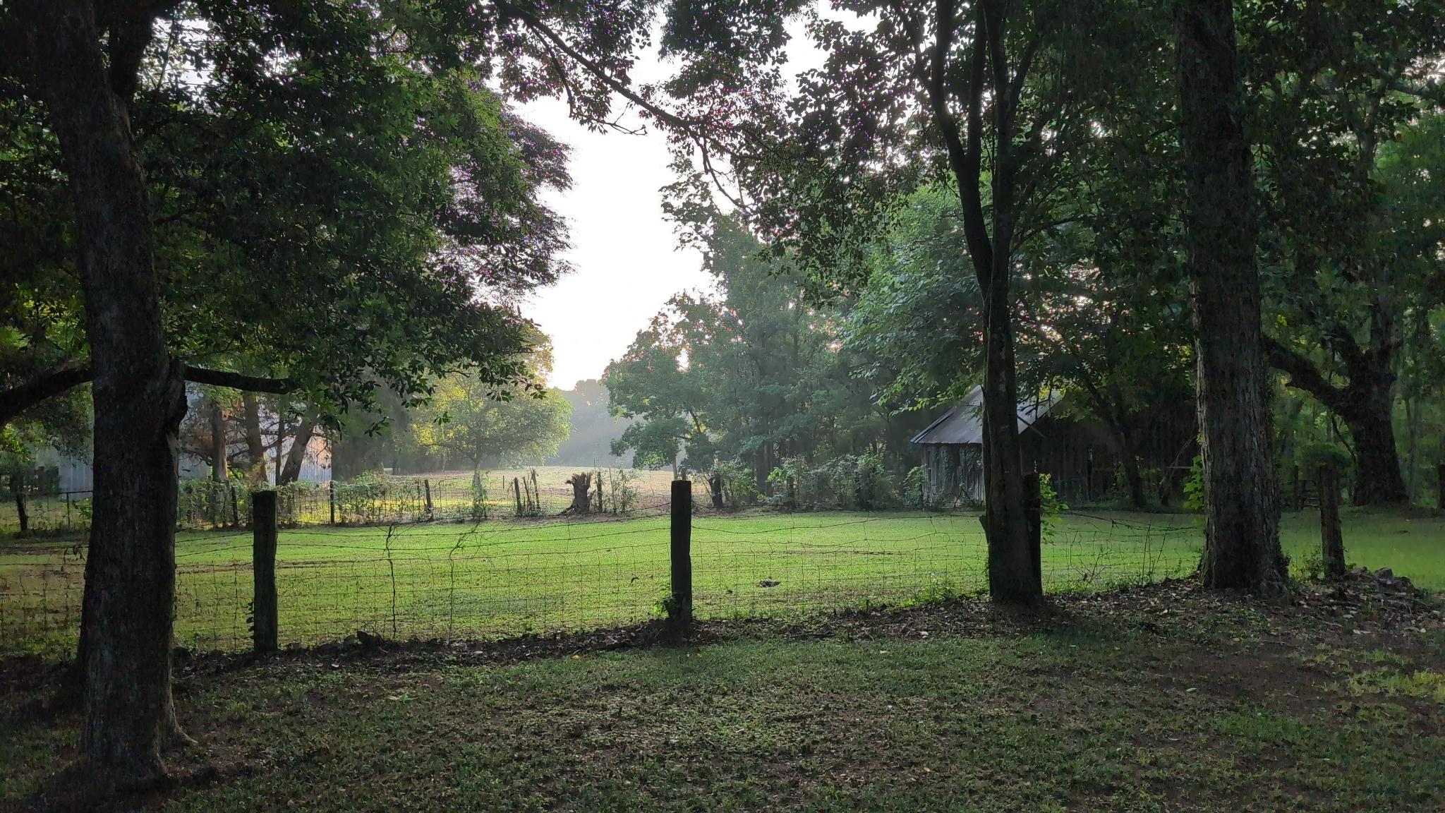 Residence at Sycamore Springs
