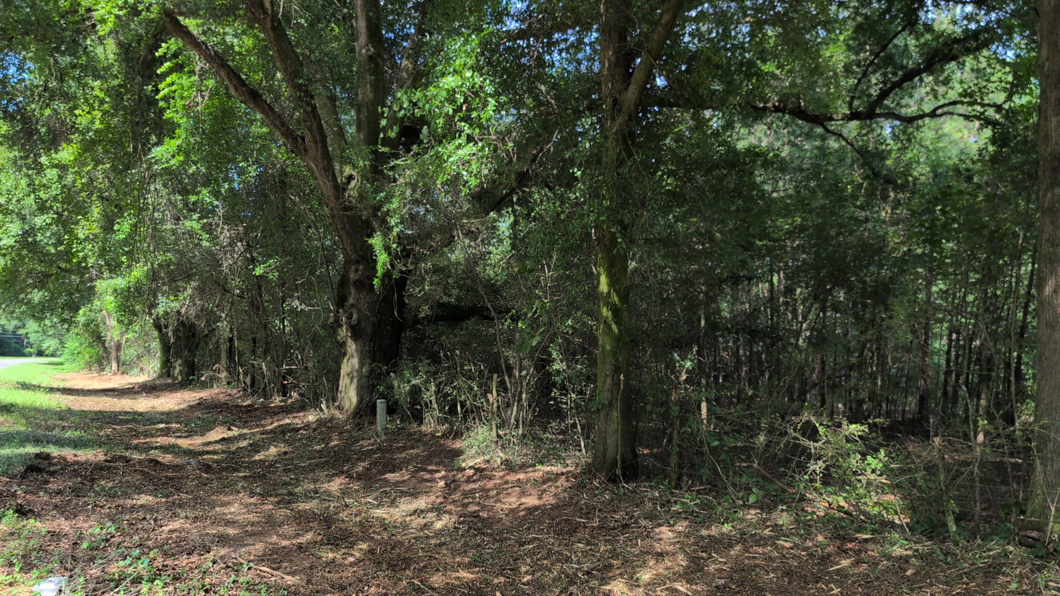 Lot at Coosada Road