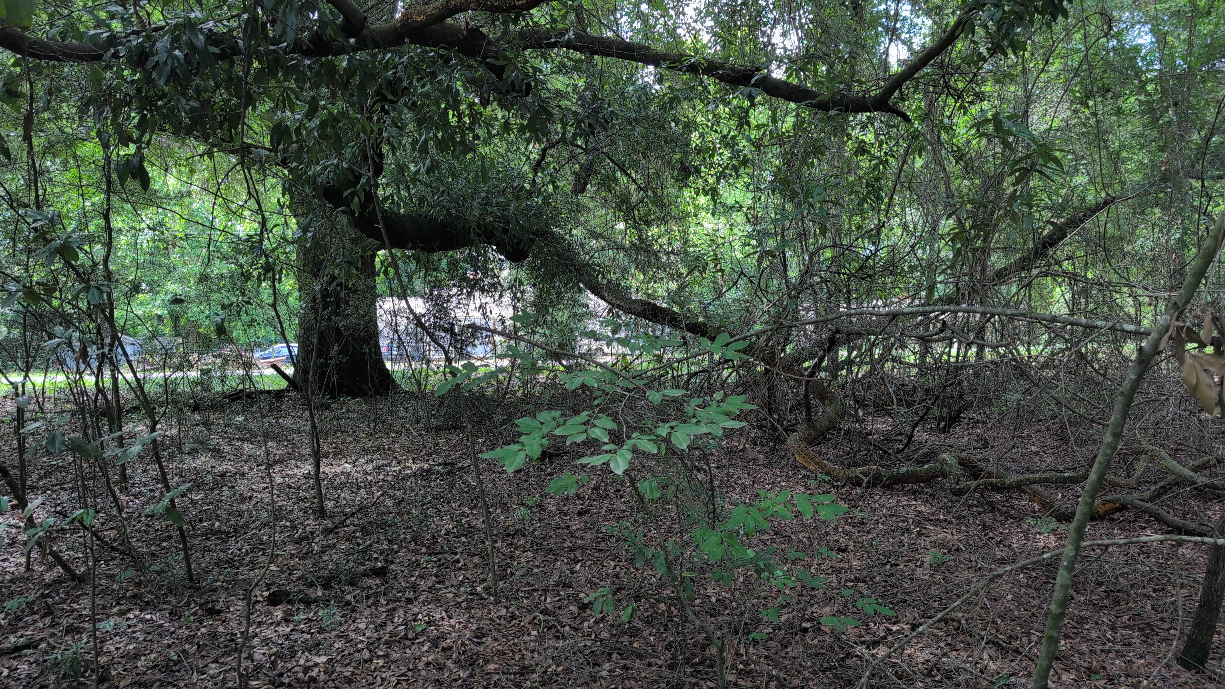 Lot at Coosada Road