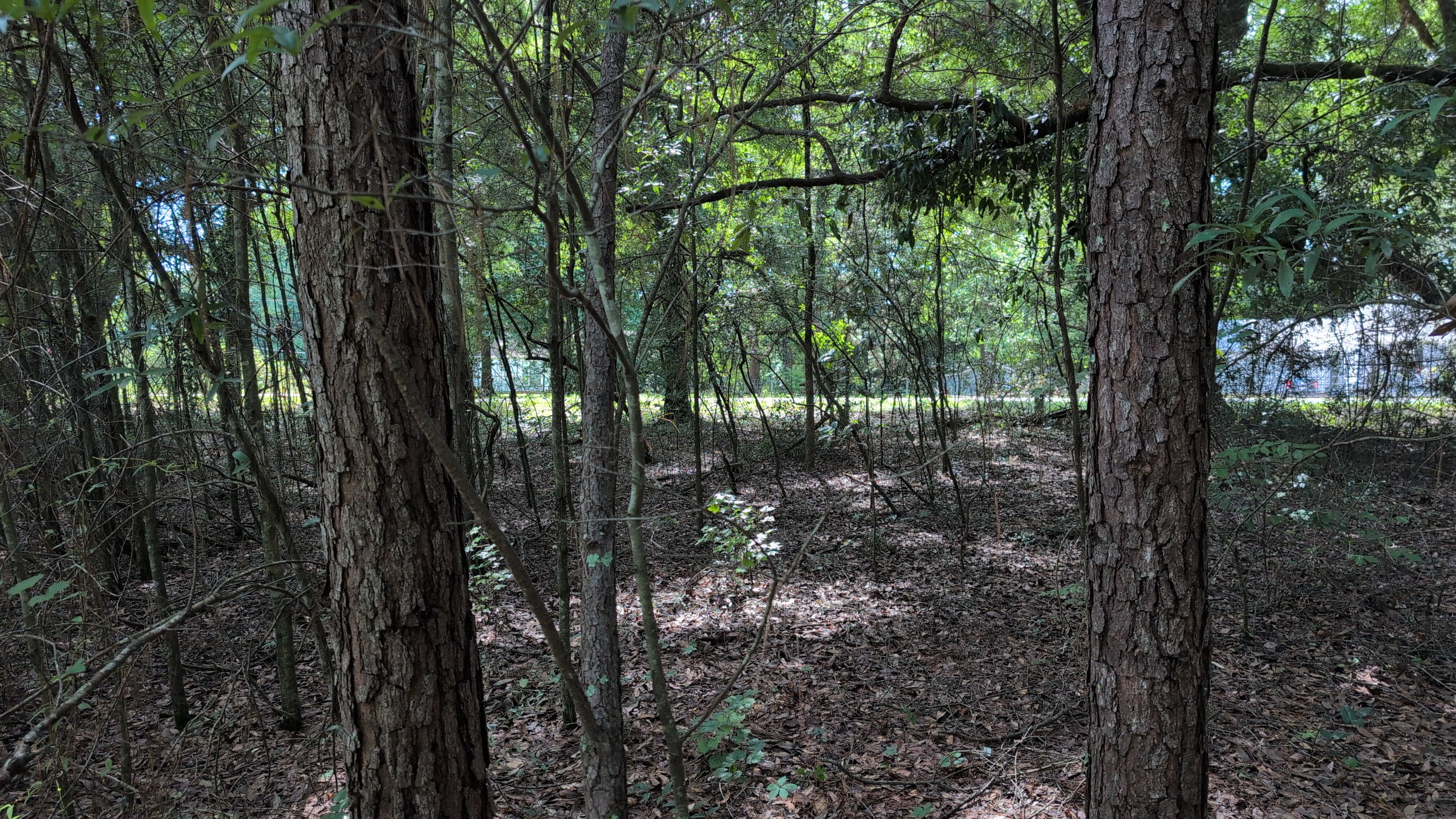 Lot at Coosada Road